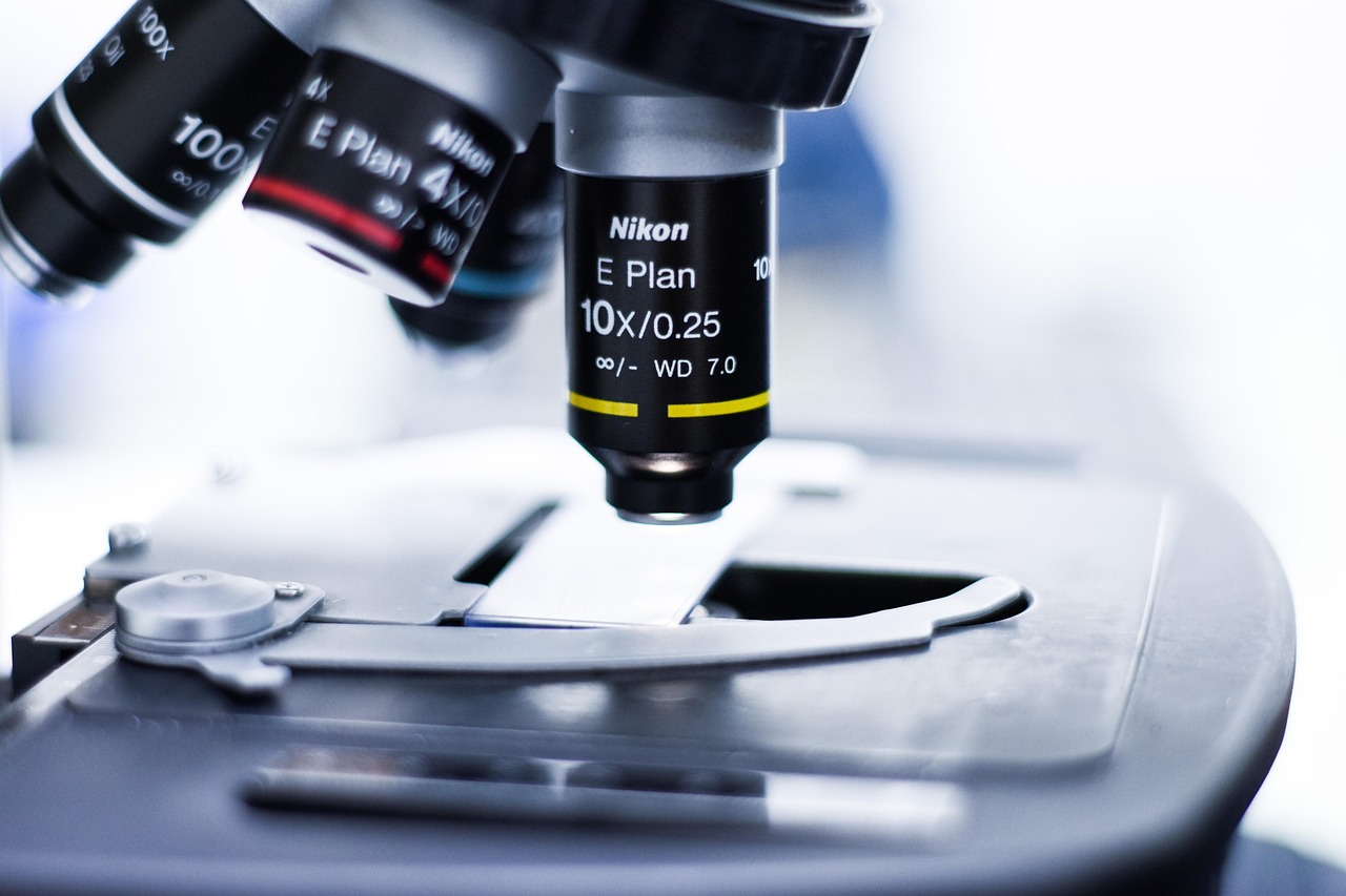 DDOS网页端源码|高陵区注册代理服务