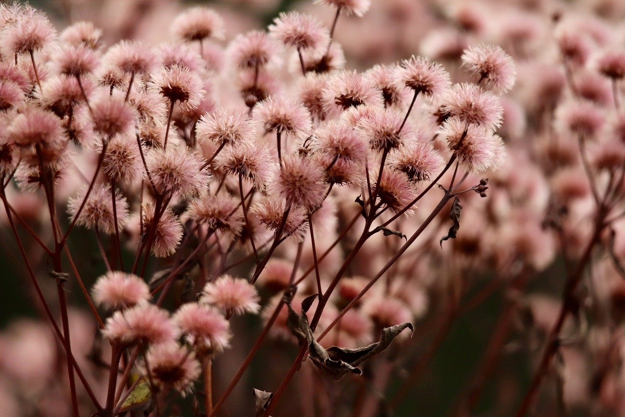 WX老号发卡网：短信营销如何对于客户的购买习惯进行分析？