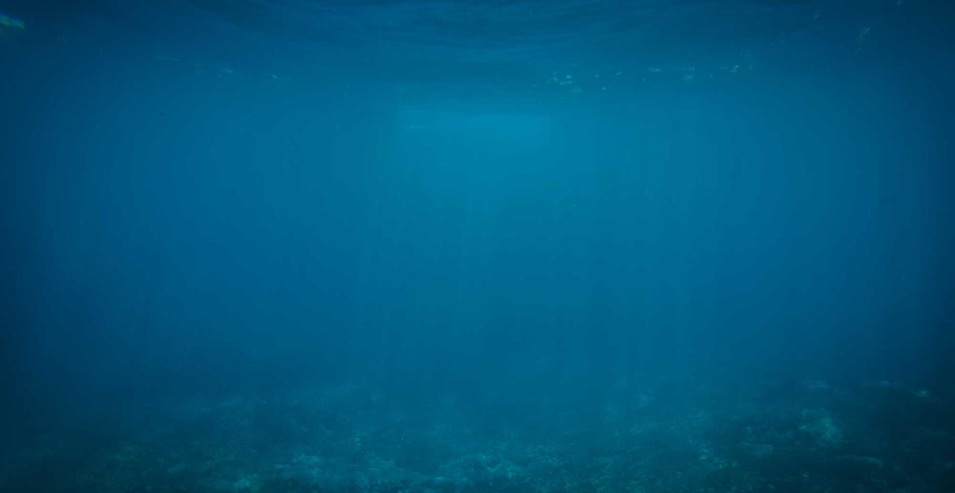 如何借助数字化战略，将企业营销进行优化和升级？